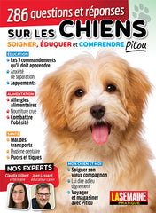 No.31 | 286 questions et réponses sur les chiens