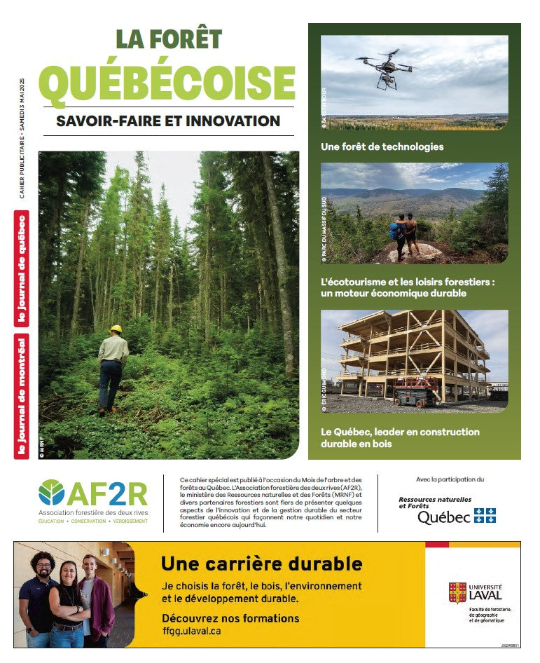 La forêt québécoise | Le Journal de Québec