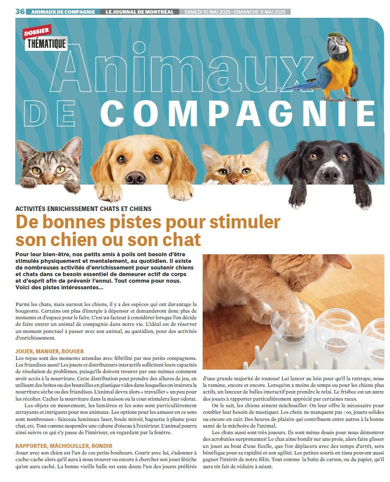 Animaux de compagnie | Le Journal de Montréal