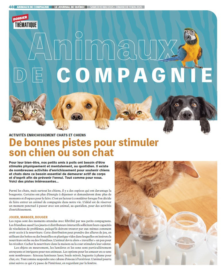 Animaux de compagnie | Le Journal de Québec