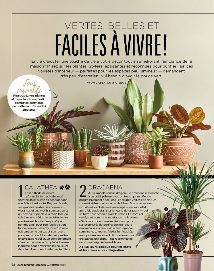 Abonnement au magazine Les Idées de ma Maison