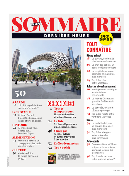Vol.31 no.03 | Été 2024