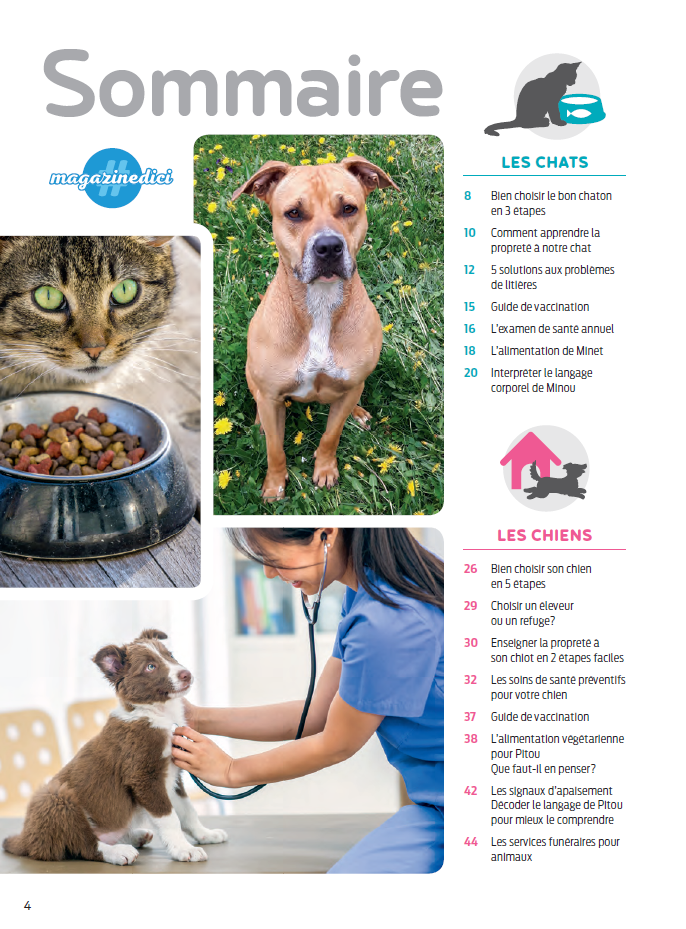 No.22 | Tout sur les chats et les chiens